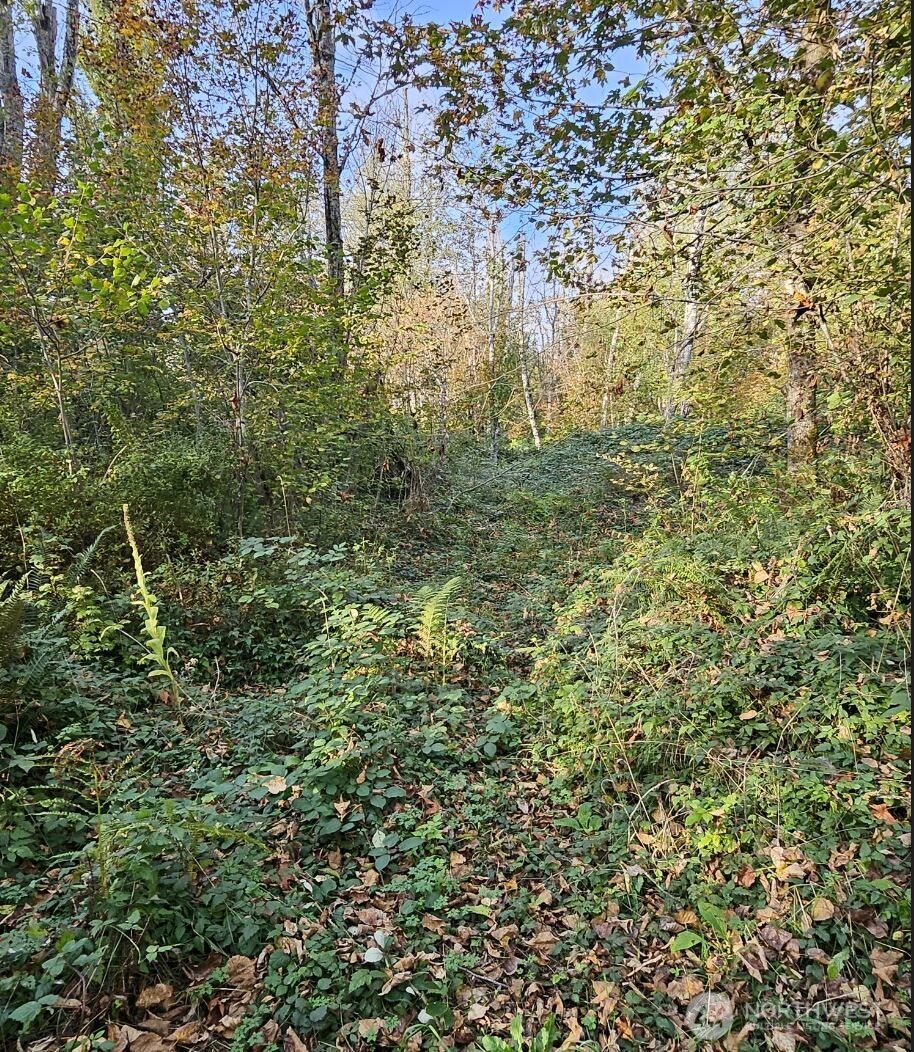 32012 Retreat-Kanaskat Road SE