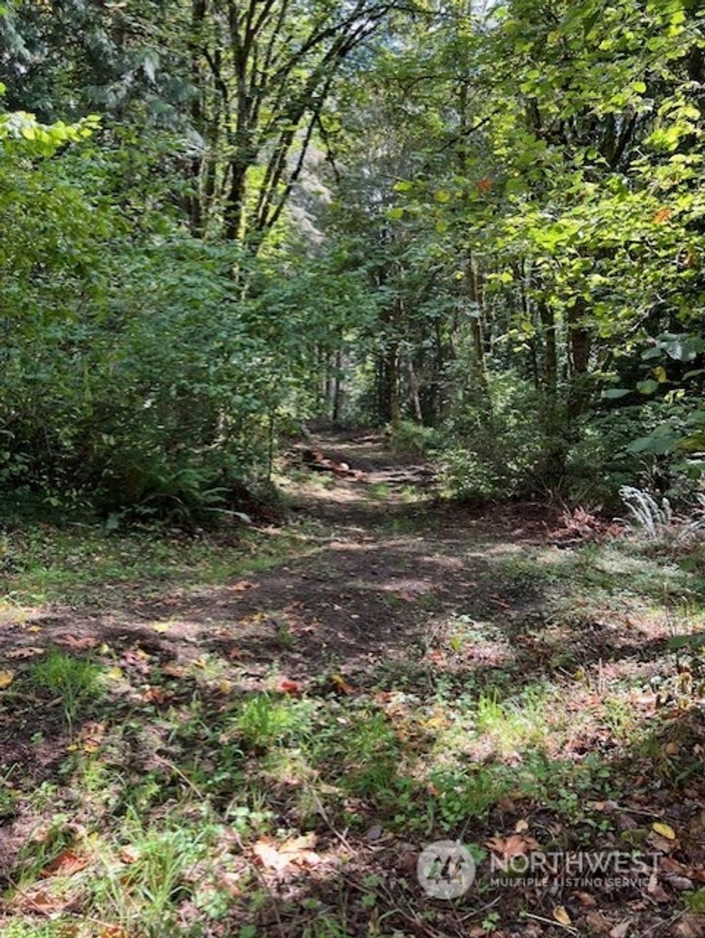 Photo of 8900 144th Place SE, Newcastle, WA 98059 (MLS # 2295679)