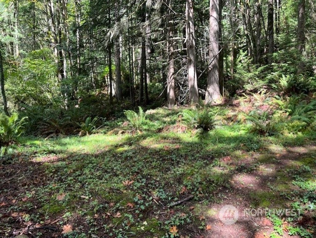 Photo of 8900 144th Place SE, Newcastle, WA 98059 (MLS # 2295679)