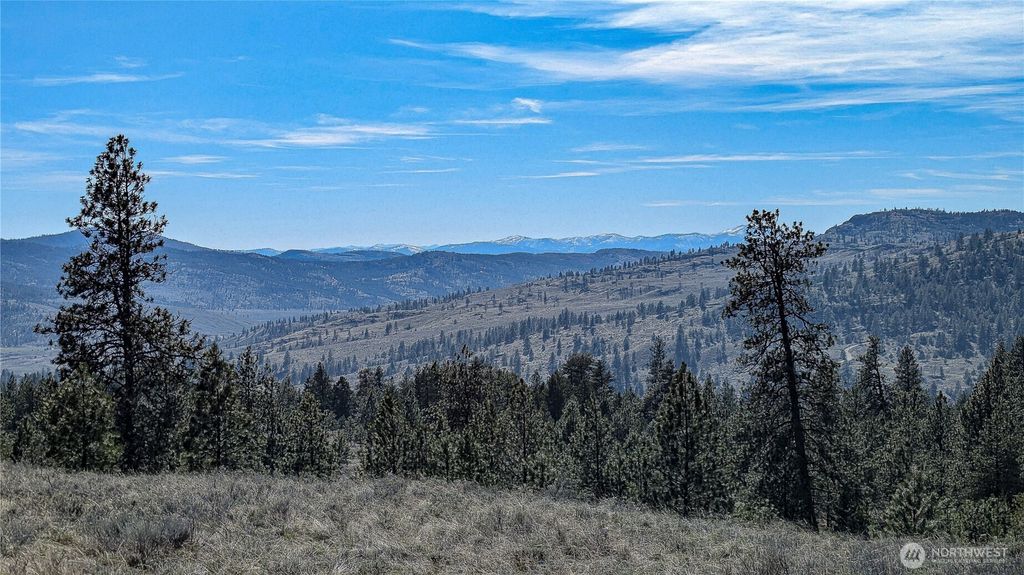 Photo of 60 E Cayuse Mountain Road, Tonasket, WA 98855 (MLS # 2490542)