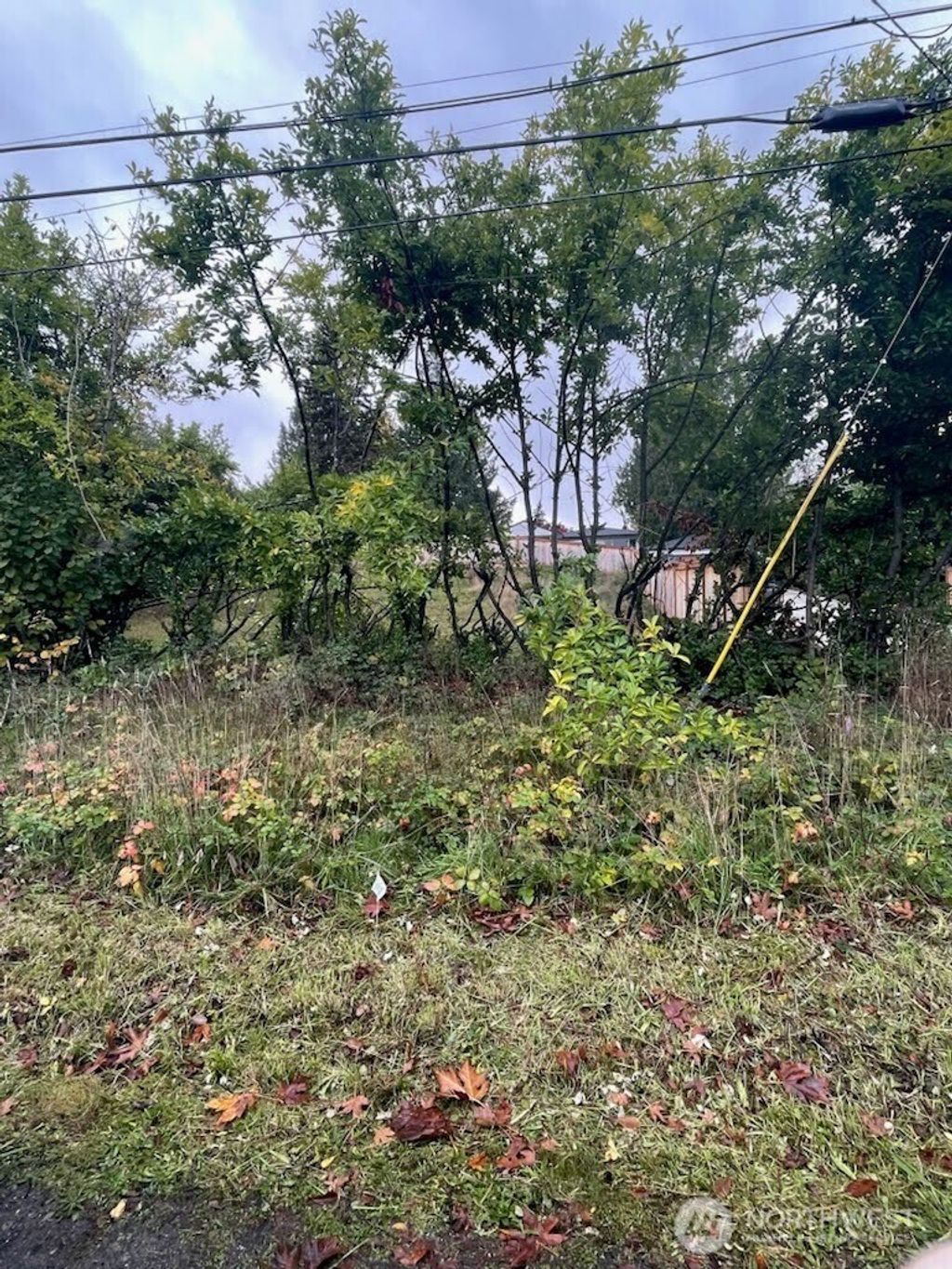 Photo of 9403 45th Avenue NE, Seattle, WA 98115 (MLS # 2309601)