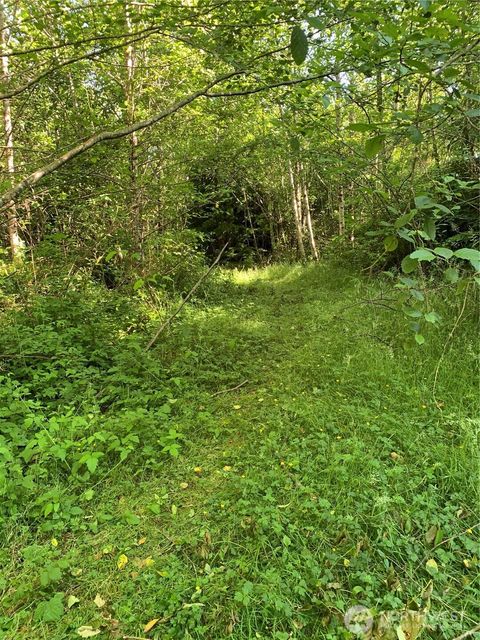 Photo of 2 Tract Parpala Road, Naselle, WA 98638 (MLS # 2357199)
