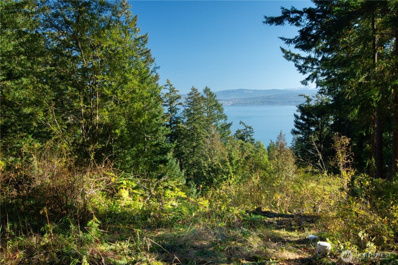 1130 Island Drive