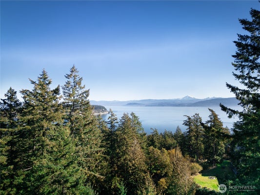 1130 ISLAND DR, LUMMI ISLAND, WA 98262 - Image b66dc42e5d81be98b54530168e69e8e5/945457477