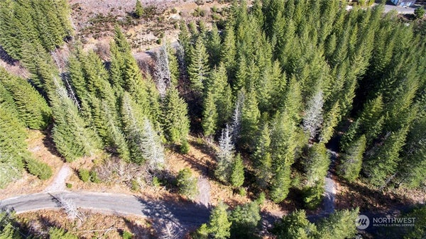 8 LAHAR LANE, COUGAR, WA 98616 - Image b67f52f303ff330fec9842c8ca0876ac/3146450916