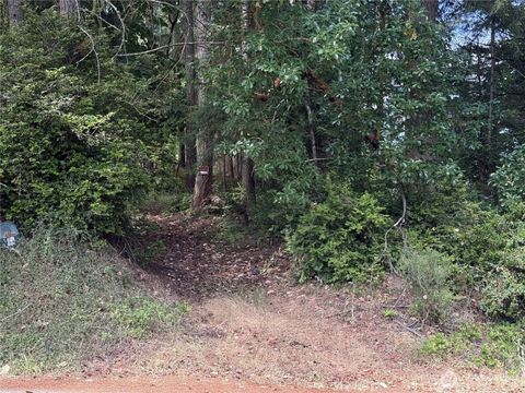 Photo of 19421 24th Street SW, Lakebay, WA 98349 (MLS # 2556800)