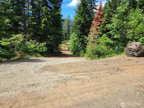 2 Newport Creek Loop Ronald WA 98940