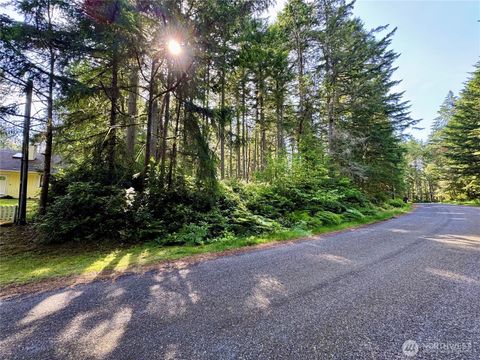 11011 & 11013 Cascade Place Anderson Island WA 98303