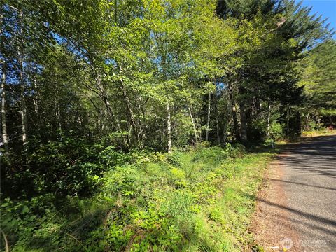 0 Cedar Place Elma WA 98541