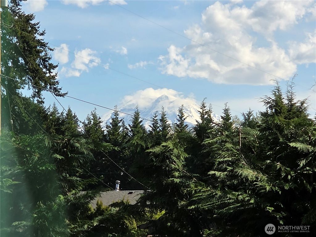 Photo of 41423 270th Avenue SE, Enumclaw, WA 98022 (MLS # 2510328)