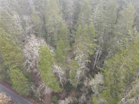 0 Pine Tree Road Toledo WA 98591