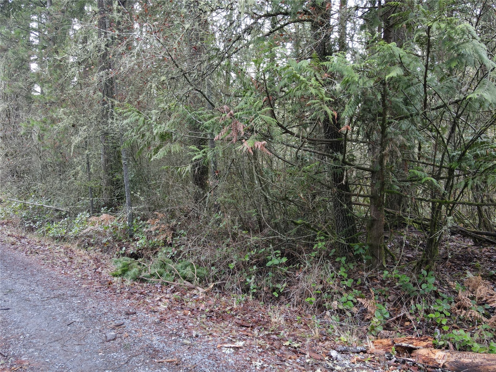 0 Pine Tree Road