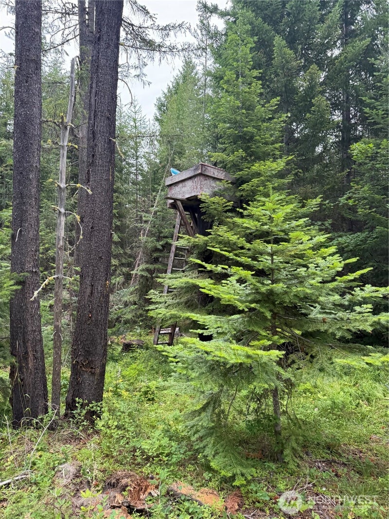 750 Tall Pines Drive 2 of 2