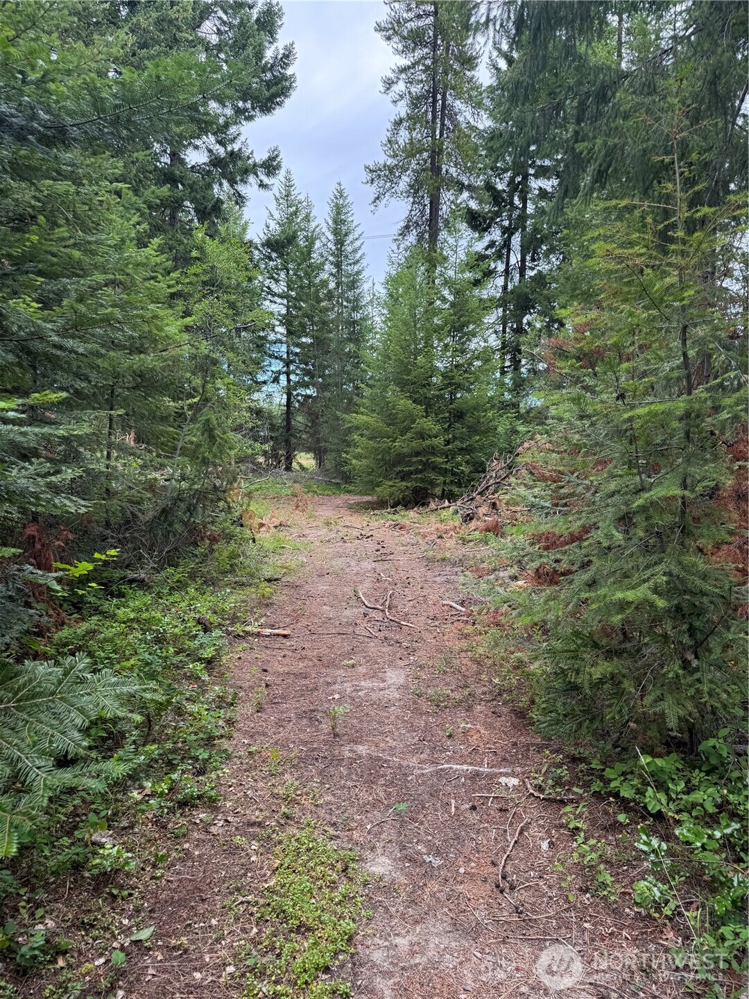 750 Tall Pines Drive 2 of 2