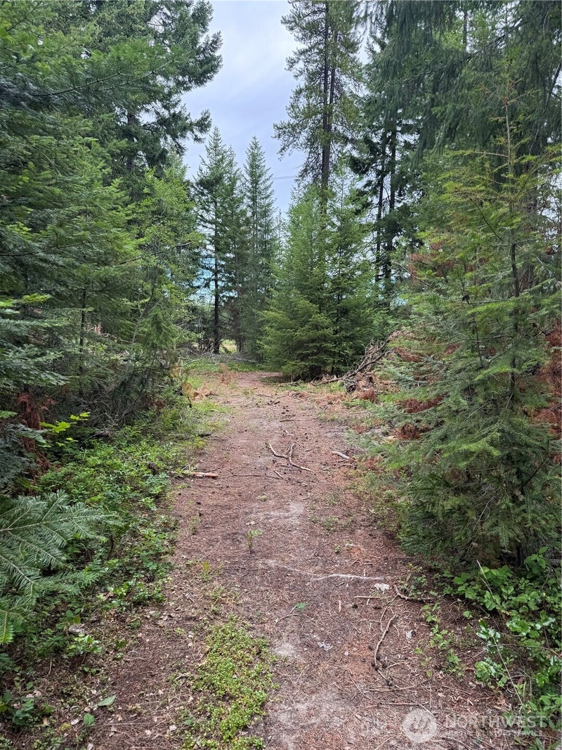 750 Tall Pines Drive 2 of 2