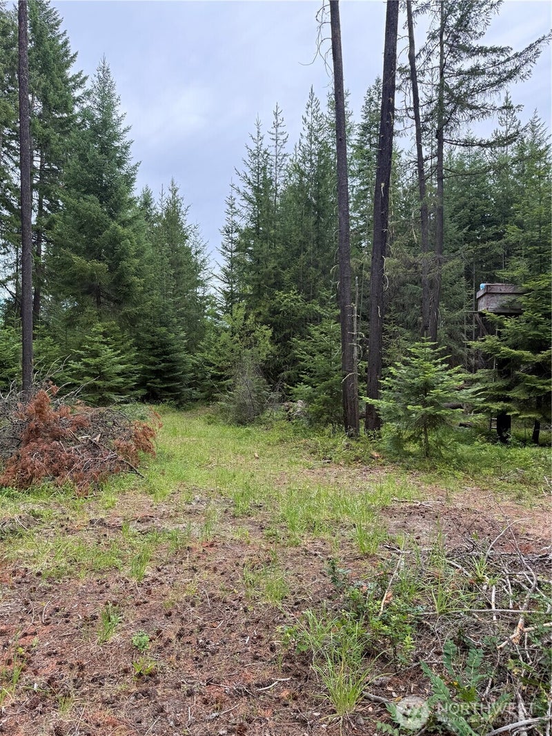 750 Tall Pines Drive 2 of 2