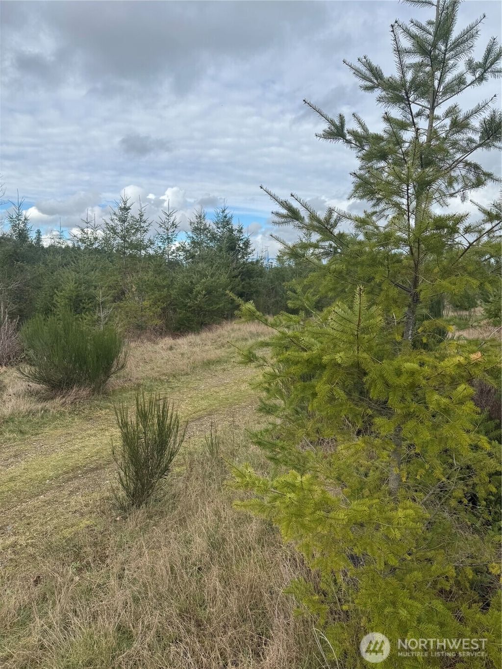 Photo of 31101 SE Retreat-Kanaskat Road, Ravensdale, WA 98051 (MLS # 2482756)