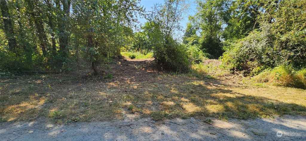 Photo of 384 XXX 156th Avenue SE, Auburn, WA 98092 (MLS # 2291533)