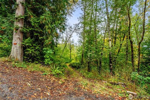 0 Mineral Hill Road Mineral WA 98356