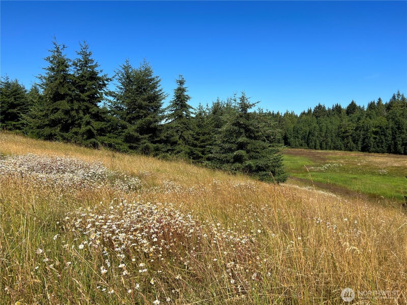 9999 Olympic Meadows, Parcel 11
