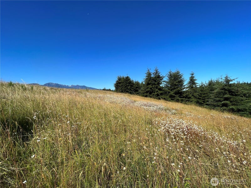 9999 Olympic Meadows, Parcel 11