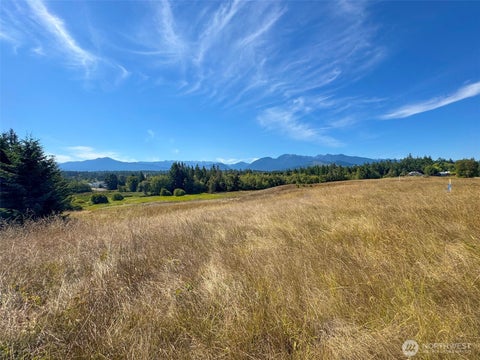 Photo of 9999 Olympic Meadows, Parcel 11, Port Angeles, WA 98362 (MLS # 2536393)
