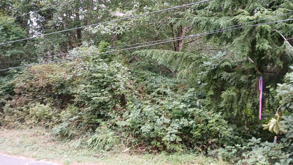Photo of 0 127th Avenue NE, Arlington, WA 98223 (MLS # 2422016)