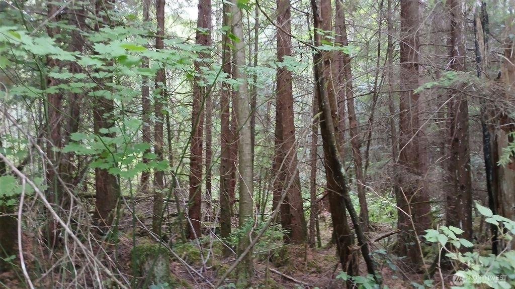 Photo of 0 127th Avenue NE, Arlington, WA 98223 (MLS # 2422016)