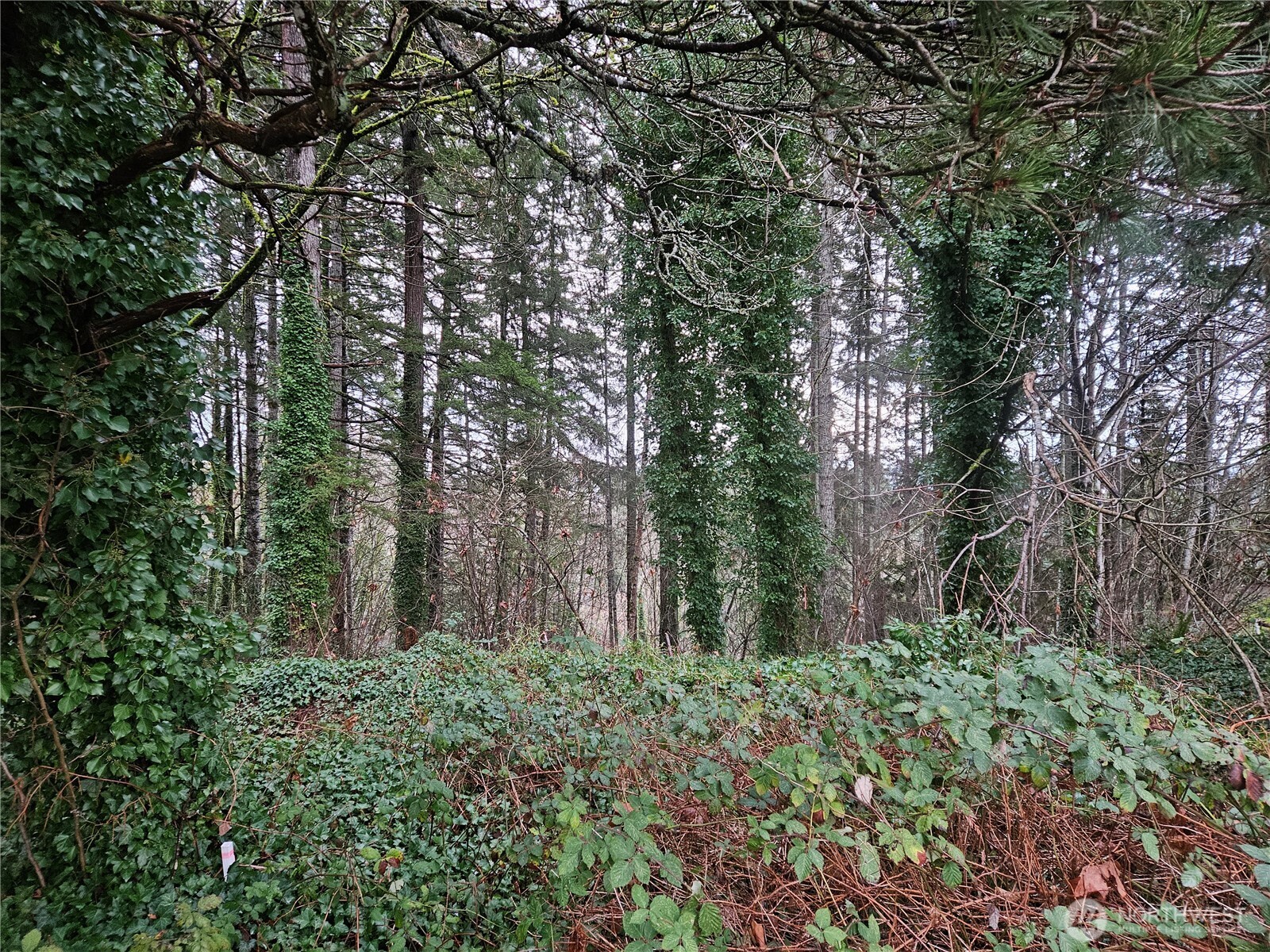 321 NE Barbara Boulevard