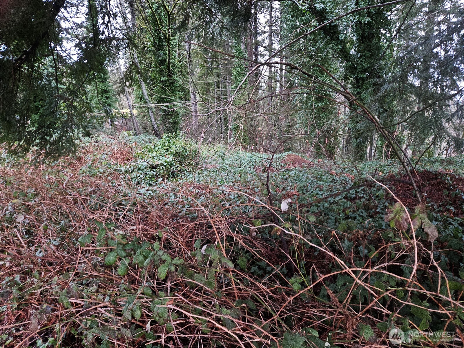 321 NE Barbara Boulevard