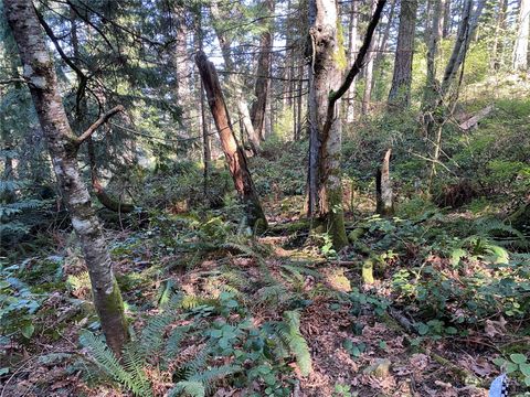 Photo of 2861 Aiston Creek Rd Rd, Lummi Island, WA 98262 (MLS # 2231688)
