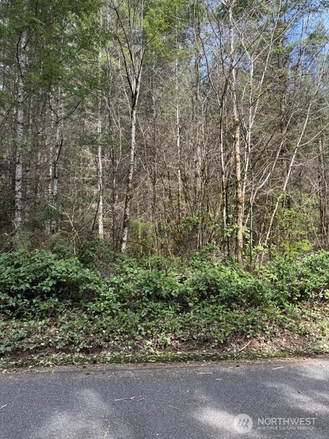 Photo of 0 xx Summers Road, Centralia, WA 98531 (MLS # 2502072)