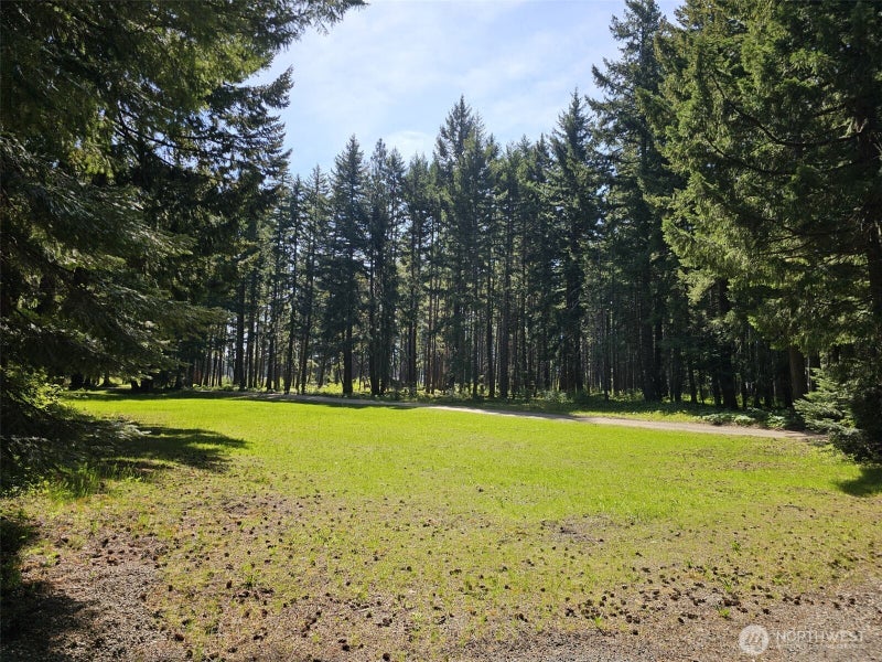 551 Pioneer Trail