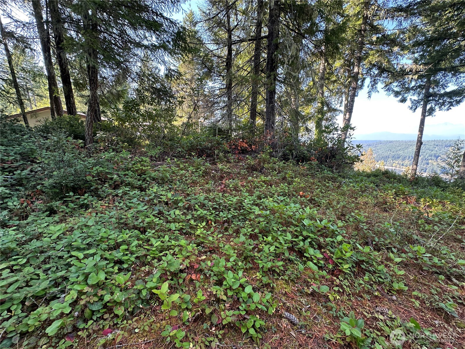 0 E Windstar Road