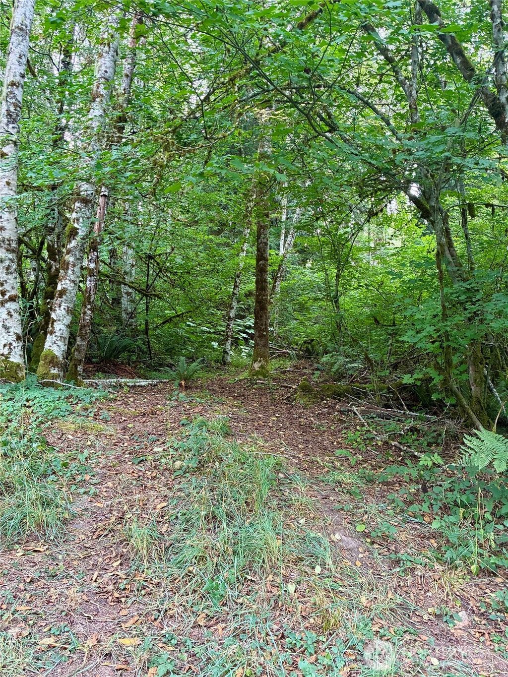 Photo of 52914 131st Ave E Ave, Eatonville, WA 98328 (MLS # 2521145)