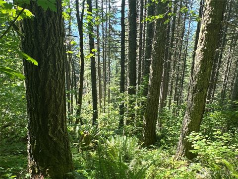 0 Hwy 12 Randle WA 98336