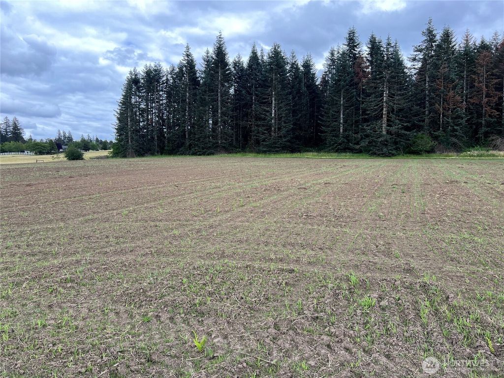 Photo of 0 XXX SE 303 Ave, Washougal, WA 98671 (MLS # 2464025)