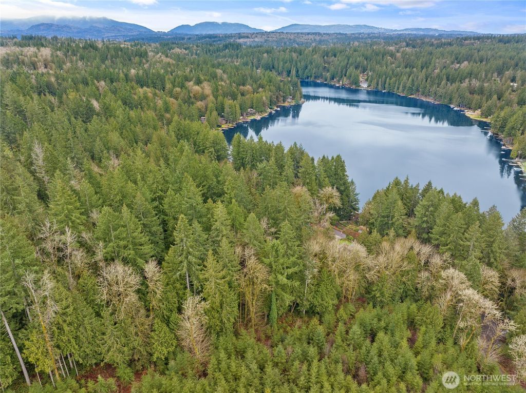 Photo of 3866 E Ames Lake Drive NE, Redmond, WA 98053 (MLS # 2331835)