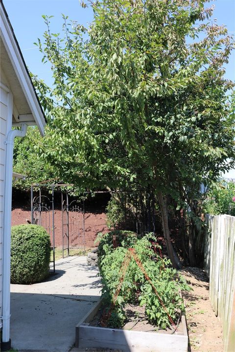 A home in Lynden