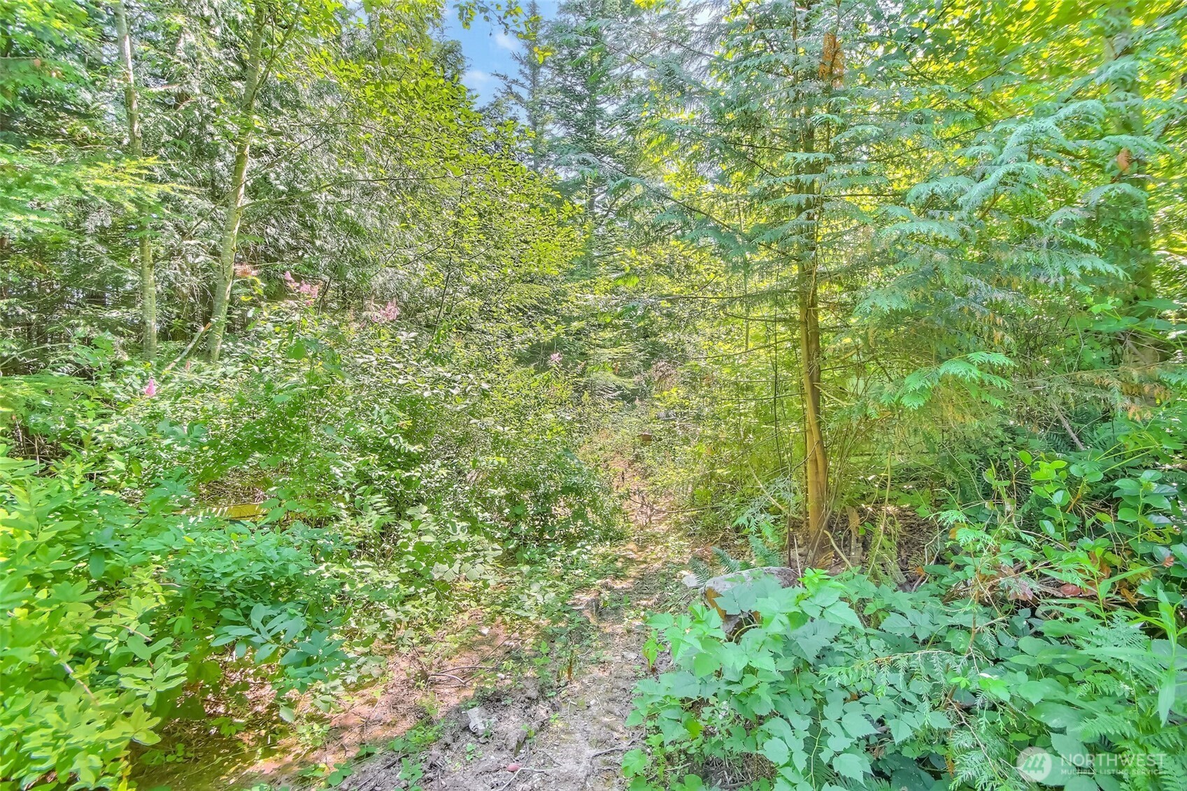 Ravensdale, Washington 98051, United States, 2 Bedrooms Bedrooms, ,1 BathroomBathrooms,Residential,Active,180996