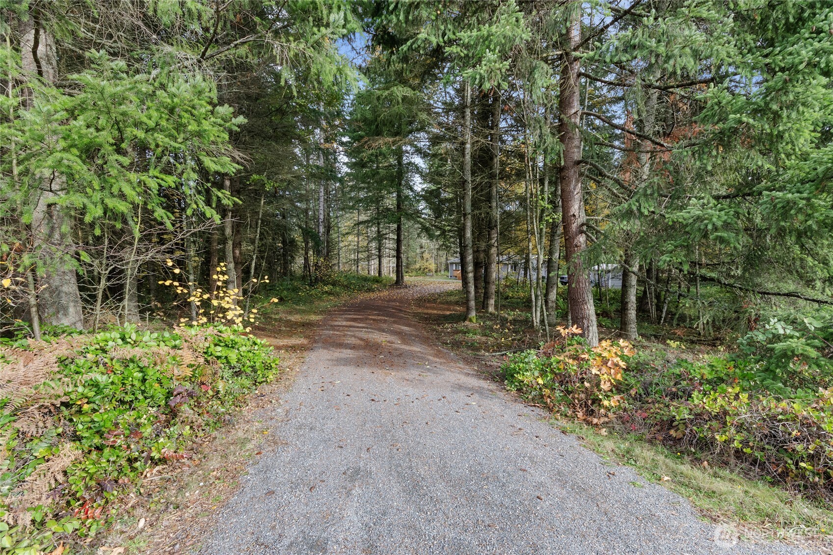 36819 Eatonville Cutoff Road E