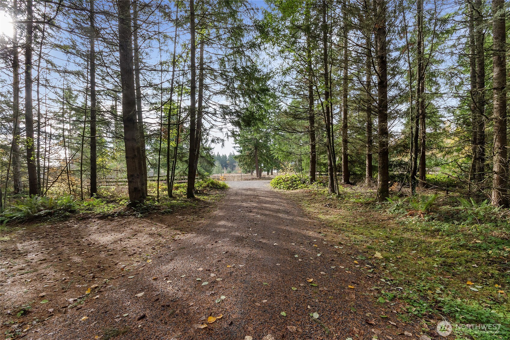 36819 Eatonville Cutoff Road E