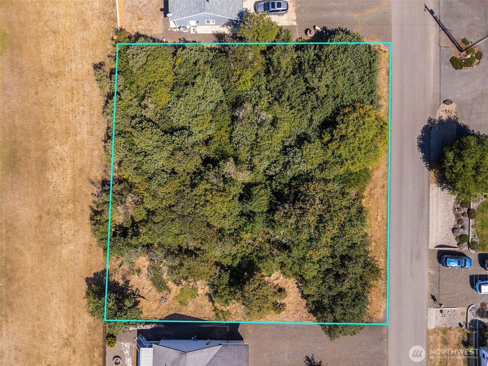 465 Octopus Avenue NE