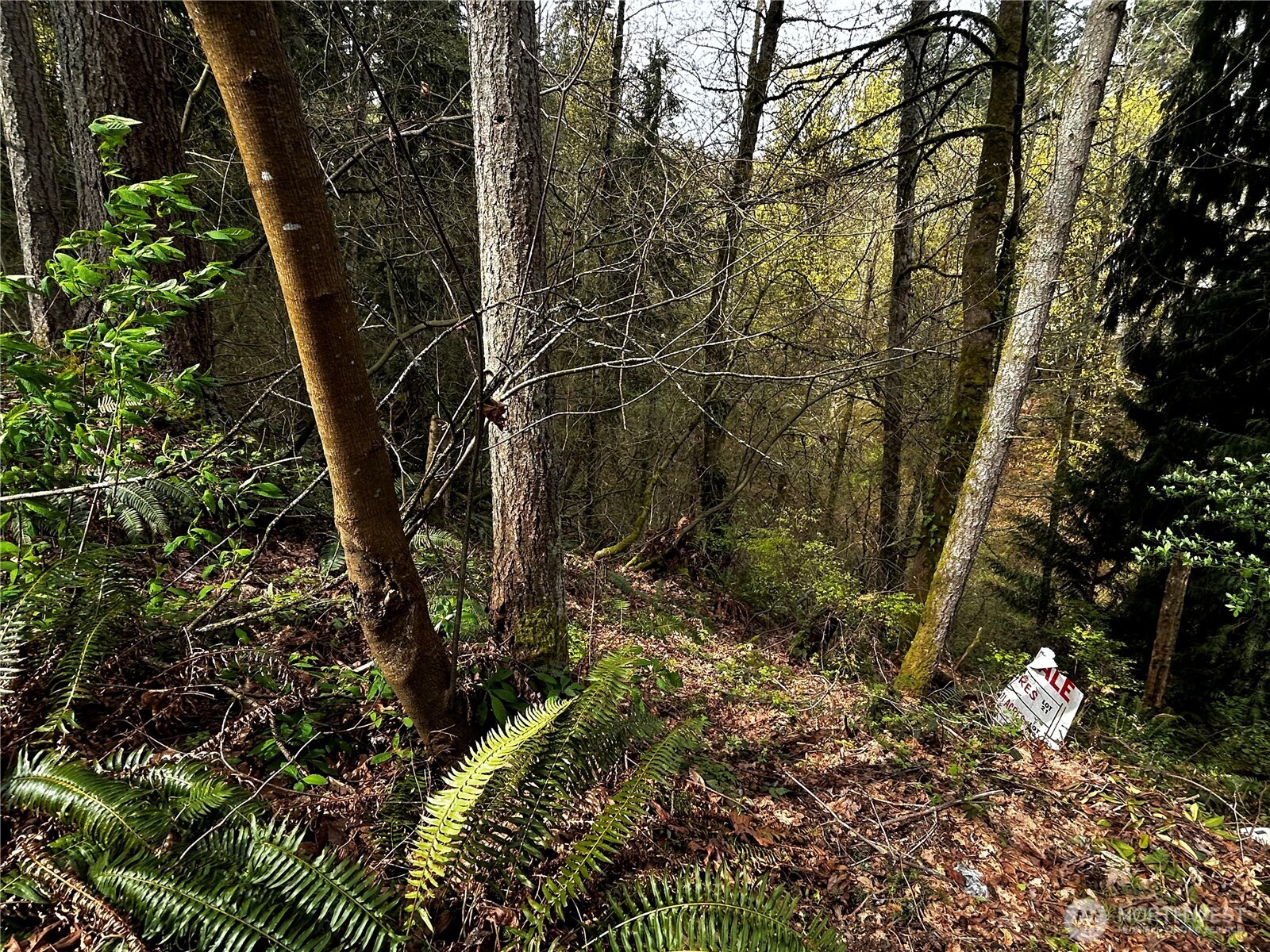 0 Adjacent to Baldwin Rd