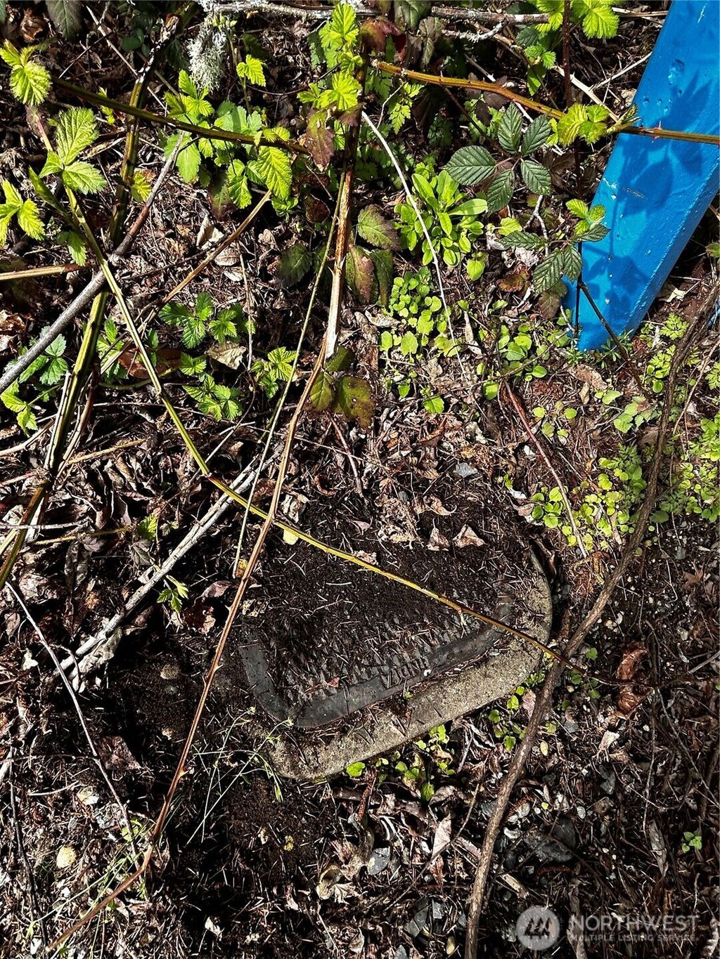 Photo of 0 Adjacent to Baldwin Rd, Bothell, WA 98012 (MLS # 2455039)