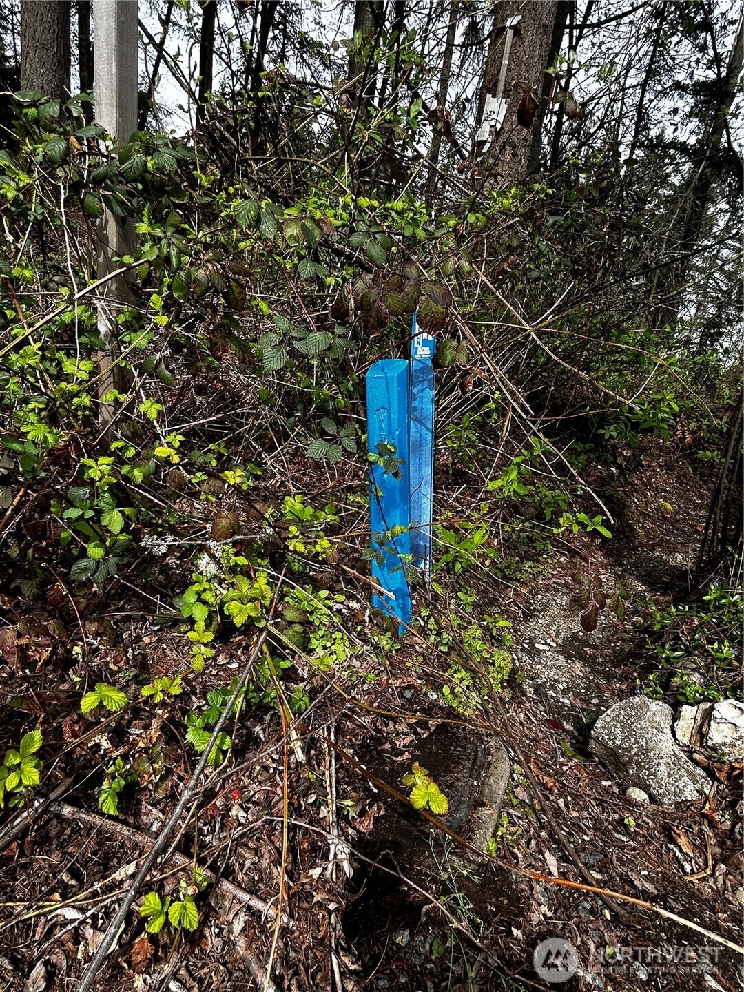 0 Adjacent to Baldwin Rd