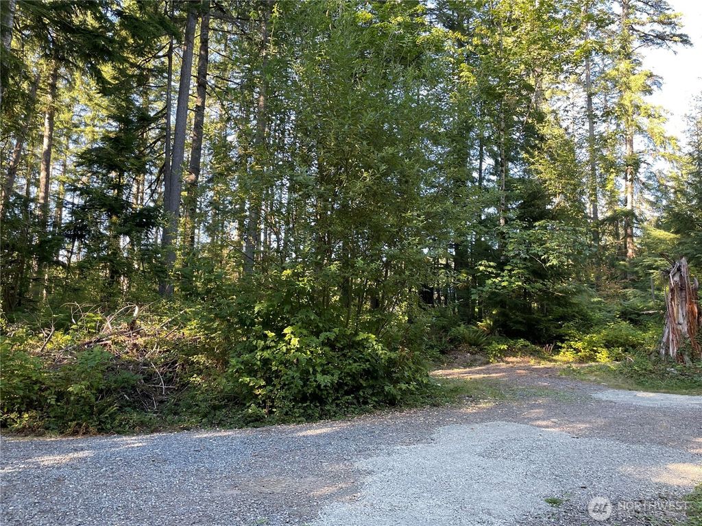 Photo of 13863 351st Avenue NE, Duvall, WA 98019 (MLS # 2426641)