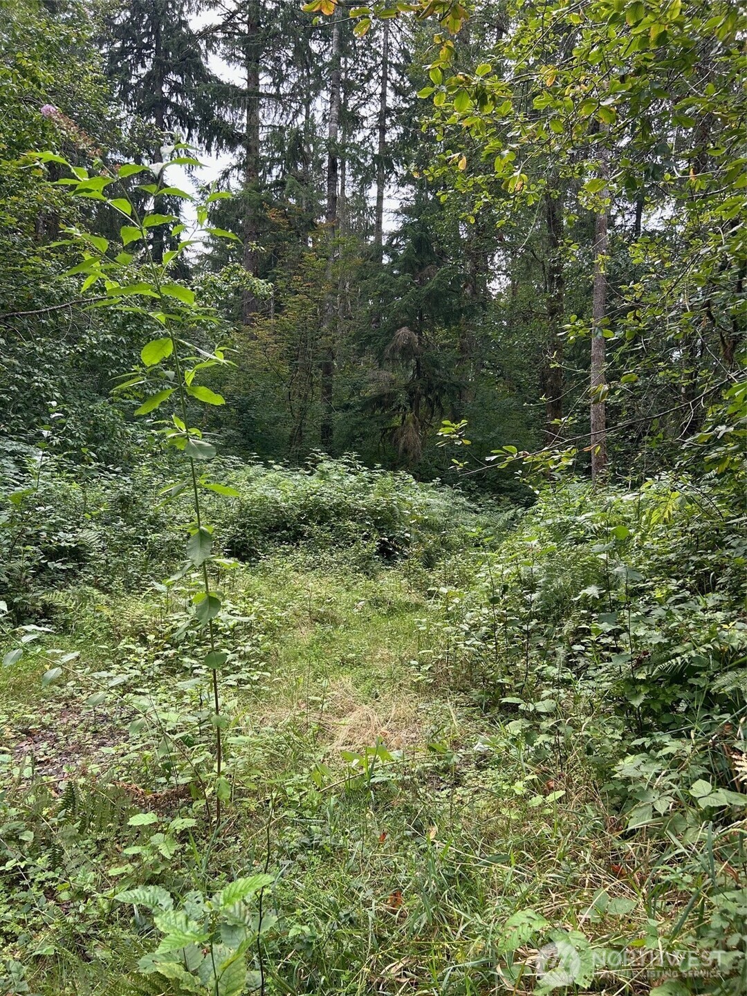 13863 351st Avenue NE