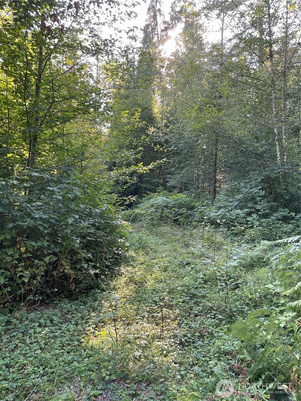 Photo of 13863 351st Avenue NE, Duvall, WA 98019 (MLS # 2426641)