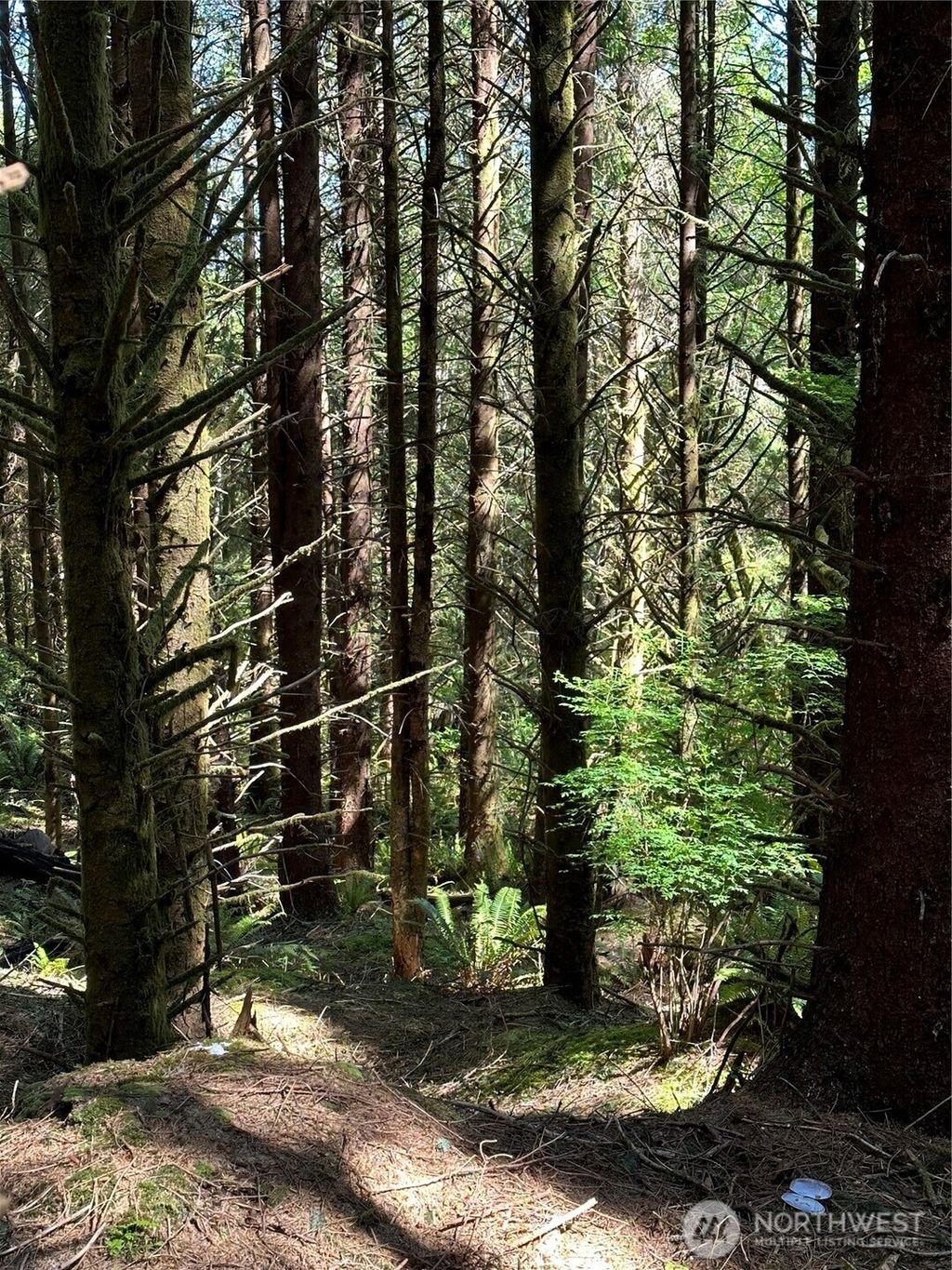 Photo of 660 lot 4 Chinook Valley Road, Chinook, WA 98614 (MLS # 2475296)